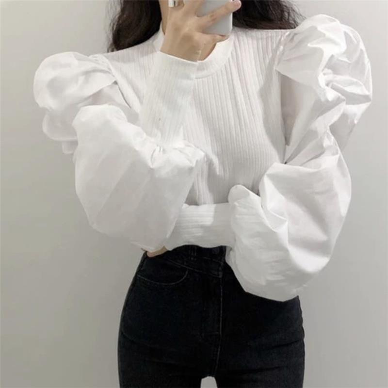 بلوزة نسائية منفوخة بأكمام طوي - مراجعة Women'S Formal Wear Blouse وسعره